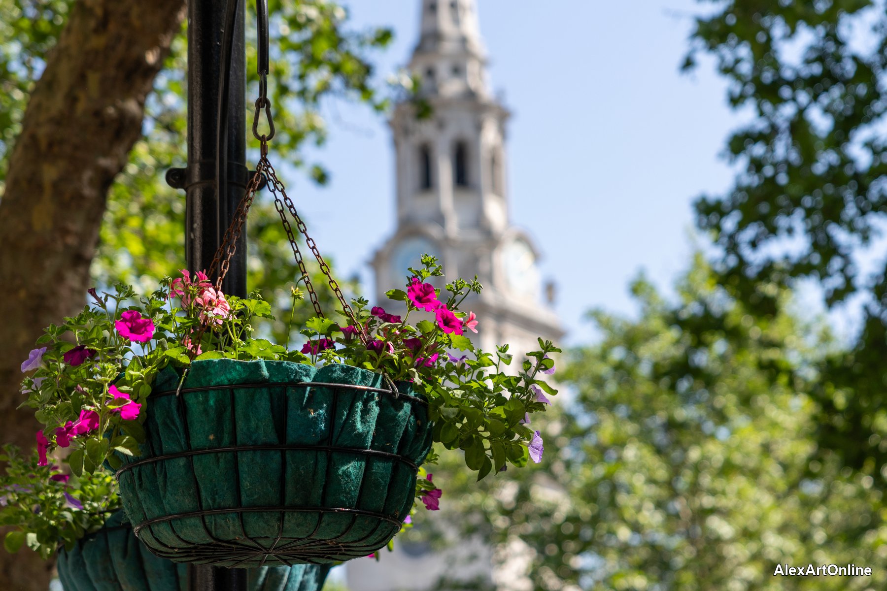 Hanging flower basket with a church spire in the background