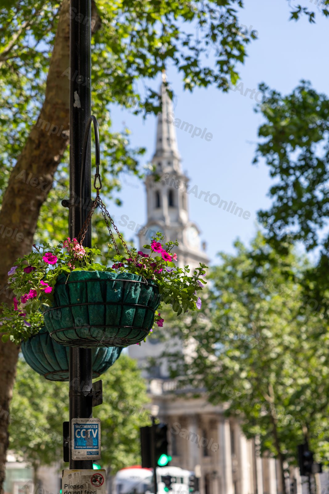 Hanging flower basket with a church spire in the background