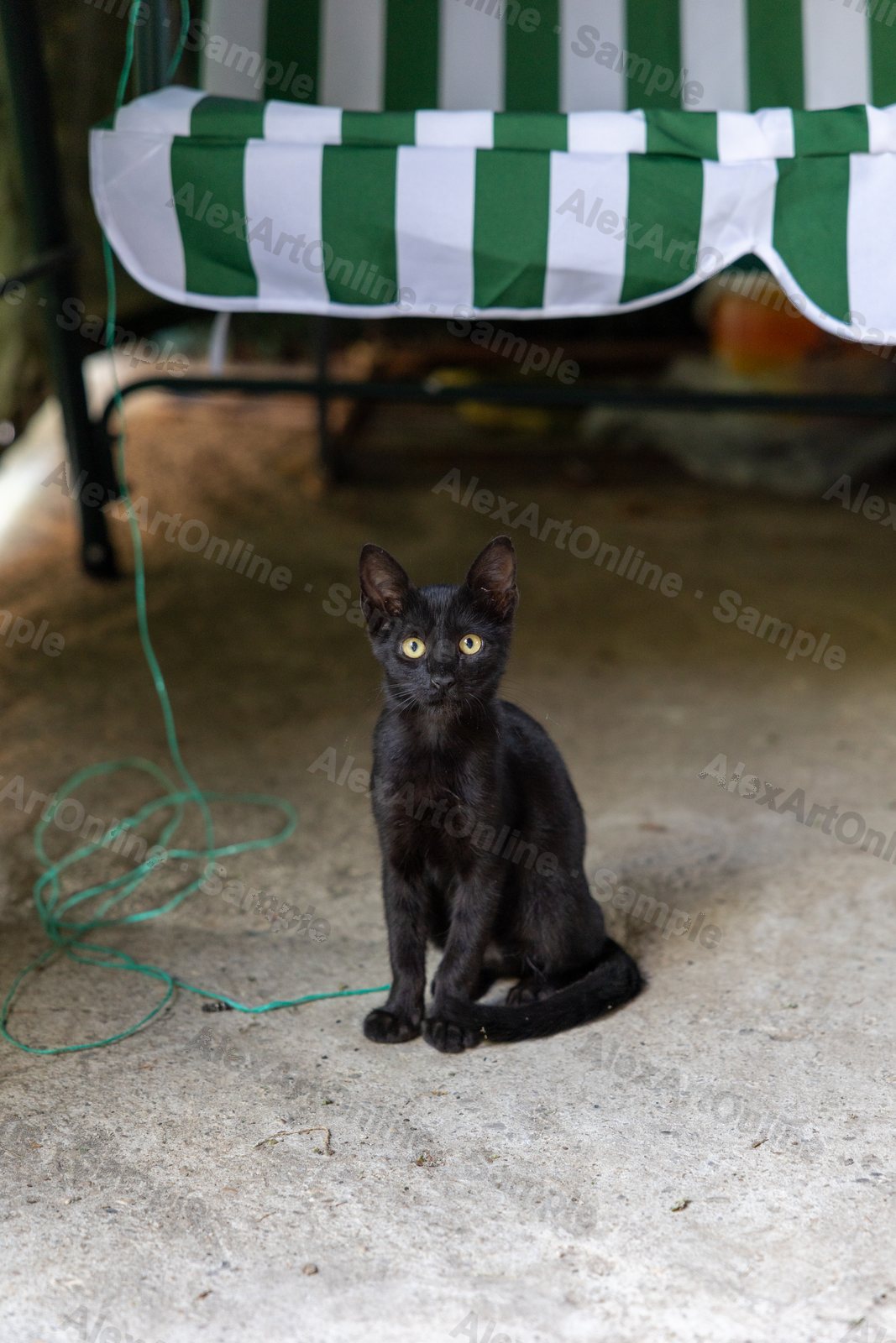 A black kitten sitting beneath a green and white striped garden chair