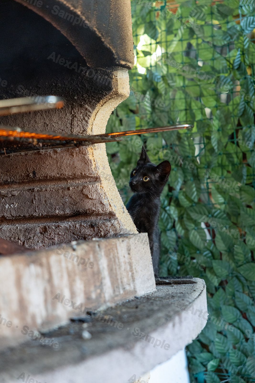A black kitten peeking out beside an outdoor fireplace