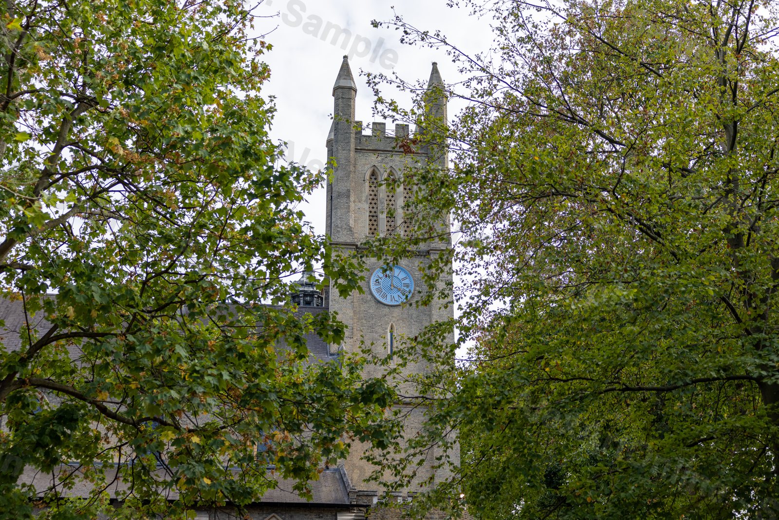 A stone church tower with a blue clock face framed by summer trees